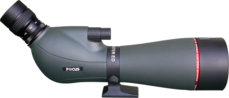 FOCUS VIEWMASTER ED 20-60X80 WP