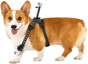 Insta360 Husdjurssele M för Actionkamera