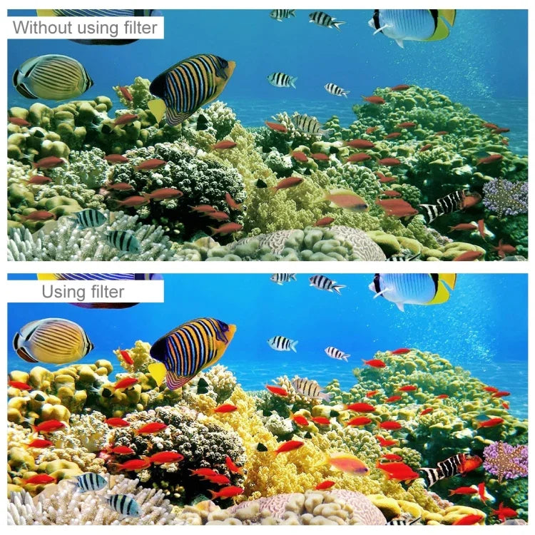 Square Housing Diving Color Lens Filter for Insta360 ONE R 4K Edition / 1 inch dition - Action King