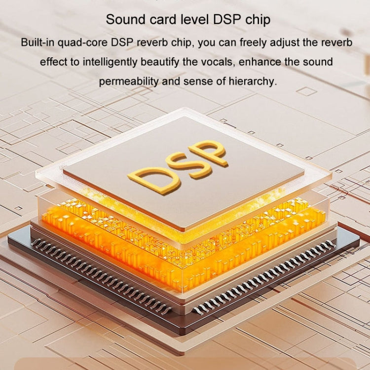 Kannettava Bluetooth-kaiutin kotiin ja ulkokäyttöön Langaton karaokeääni, Y5 1 mikrofoni, Y5 2 mikrofonia