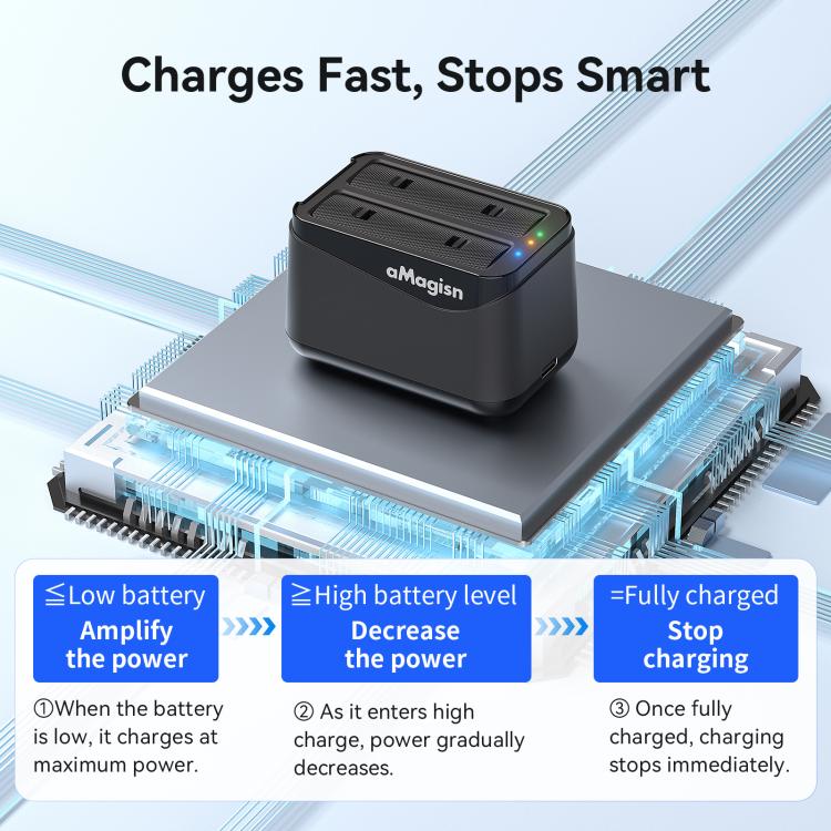 Dubbel Batteriladdare för Insta360 X4